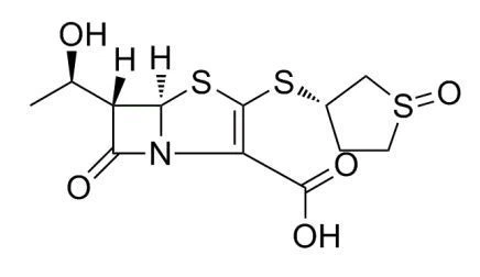 sulopenem