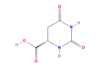 L-4,5-дигидрооротовая кислота CAS 5988-19-2